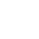 TEAM VITALITY